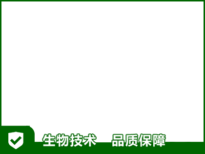 布景框